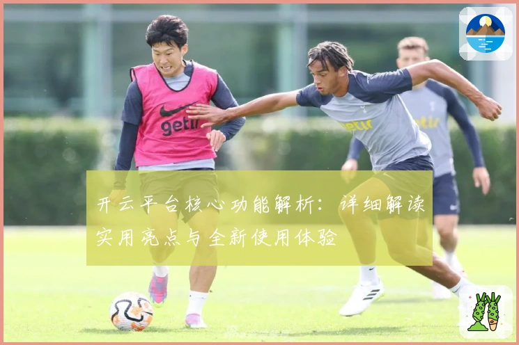 开云平台核心功能解析：详细解读实用亮点与全新使用体验